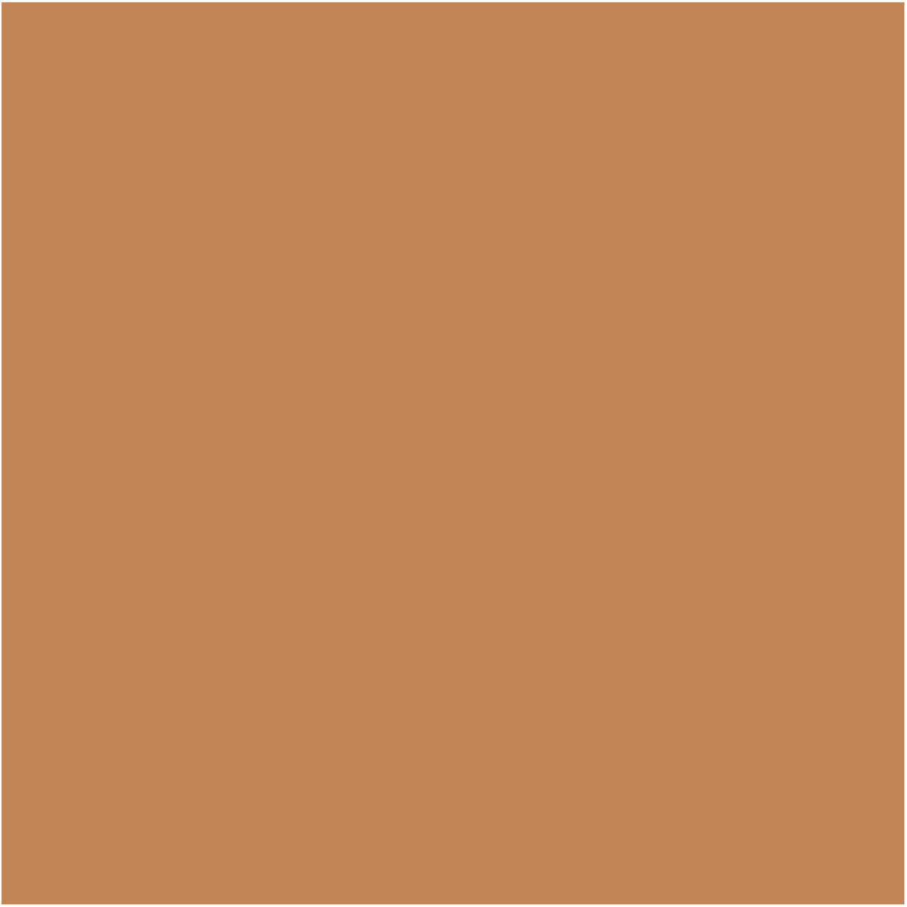 Glo skin Beauty Spot Treat Concealer Medium-Deep